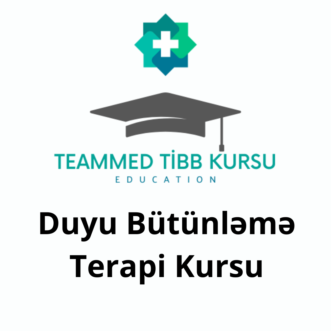 Duyu Bütünləmə Terapi Kursu